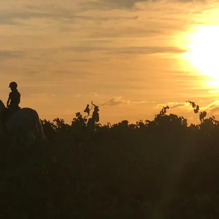 Des Cabres * リュネル