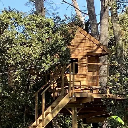 Des Cabres Lunel (Herault)