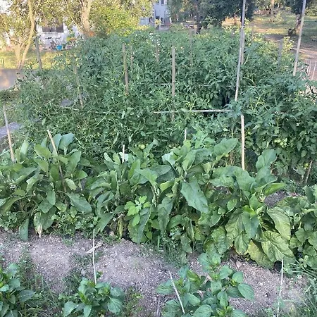 ヴィラ Des Cabres